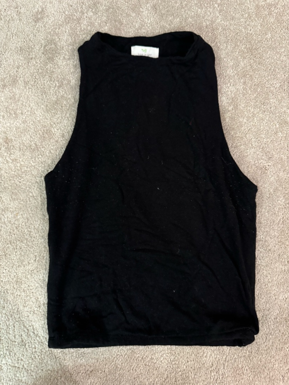 Sleeveless Black Crop Top with High Neck